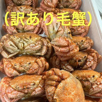 規格外品　数量限定品　条件付き訳あり毛蟹2kg 送料無料 条件付き】 訳あり 毛蟹2kg 規格外品 | 魚介類/カニ 産直アウル