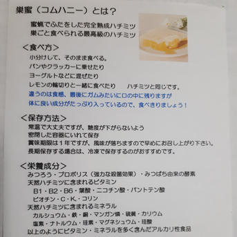 日本ミツバチの巣蜜 230g ｜ はちみつ/はちみつ 産直アウル 農家