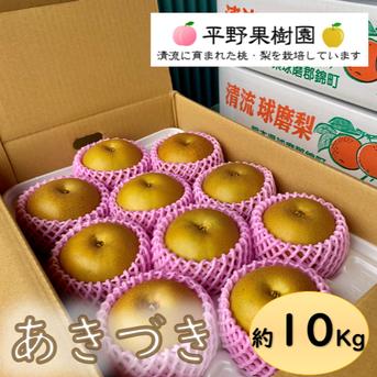 熊本県産秋月梨10〜24玉入り5k 2箱 清流球磨梨・あきづき 約10Kg【5kg箱(5〜14個入り)を2箱重ねてお届け