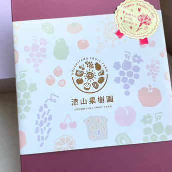 紅茶を楽しむドライフルーツセット ニルギリ2.5g×6パック（紅茶）、ドライフルーツ15g×3袋が2箱 果物/果物の加工品通販