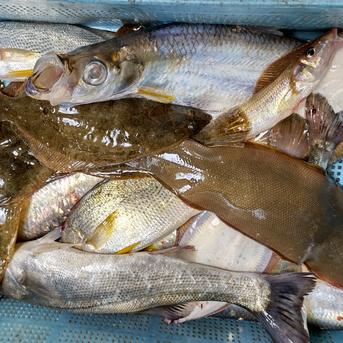 鏡の漁師の魚達！　大漁鮮魚BOX! 約５キロ 魚介類/魚介セット・詰め合わせ通販