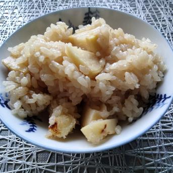 兵庫産　朝掘りたけのこ(はちく）1.7kg 1.7kg 野菜/たけのこ通販