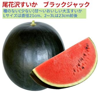 【予約受付】甘～い大玉すいか 種のない(少ない)ブラックジャック 2~3Lx 2玉 山形県産【旬祭限定】 甘～くおいしい大玉すいかブラックジャック 2~3Ｌx2玉 果物/スイカ通販