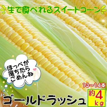 7/5日〜順次発送ゴールドラッシュ！11本～14本約4㎏　朝採り当日発送クール便 約4㎏ 野菜/とうもろこし通販