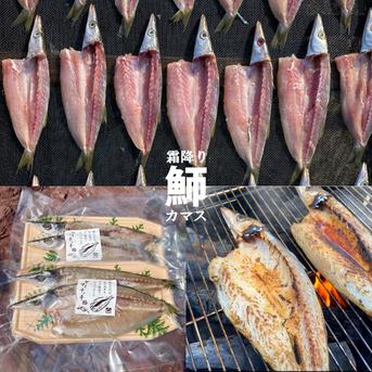 綱元漁師★天日干し干物ギフト箱セット カマス1Pイワシ開き1P目光1P鯵2Pノドグロ2P味醂干し2P 魚介類/魚介の加工品通販