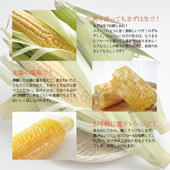 川森様専用 17本 野菜/とうもろこし通販