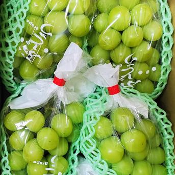 27【島根県産】シャインマスカット約2キロ(3〜5房) 食品 51【島根