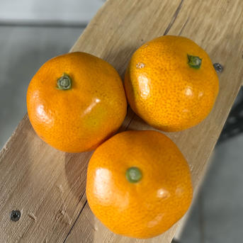 厳選選果の小玉 翔ぶ美味さ！甘熟品 有田みかん 有田市 産地直送 10KG