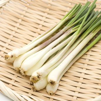 今が旬！宮古島産 島らっきょう【900g】 900g（300g×3袋） 野菜/その他野菜通販