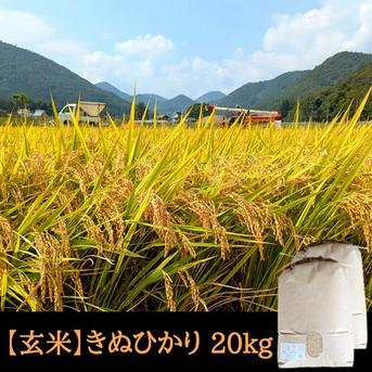 きぬひかり【玄米】 20kg 令和7年産 京都府京丹波町産 | 米・穀物/玄米