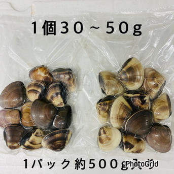 冷凍伊勢海老（大）　冷凍はまぐりセット各3キロ 冷凍伊勢海老　はまぐりセット各3キロ 魚介類/魚介セット・詰め合わせ通販