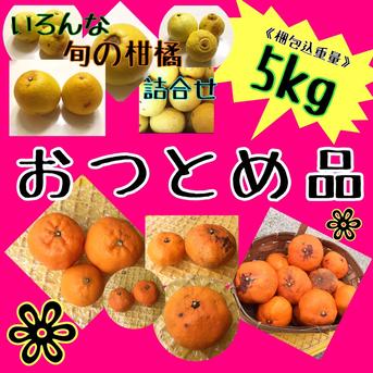 四国 九州 本州のお客様用】【おつとめ品】数品種 おみかん 詰合せ【お