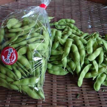 お酒が美味いっ！味が自慢の枝豆、湯あがり娘2kg 2kg 野菜/豆類通販
