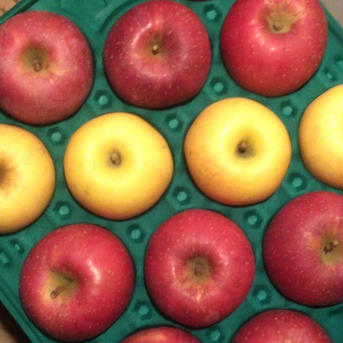 【年越しりんご】🍎ふじ&はるか🍏5kg箱 約4.5~5.5kg(13~16玉) 果物/りんご通販
