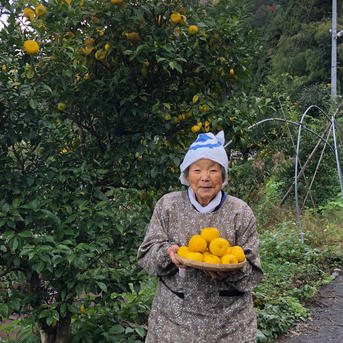 自然栽培　柚子　ゆず 2kg 果物/その他柑橘類通販