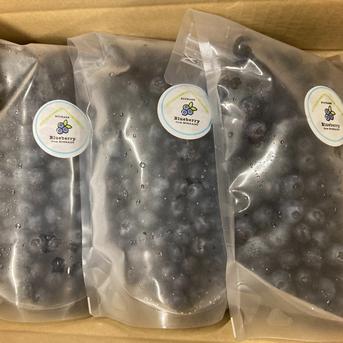 冷凍中粒ブルーベリー3kg 冷凍ブルーベリー 約3kg ブルーベリー フルーツ ベリー 1kg×3袋入り