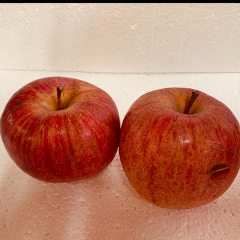 甘さ濃厚‼️山形県産サンふじ【小玉訳あり5キロ】 | 果物/りんご 産直