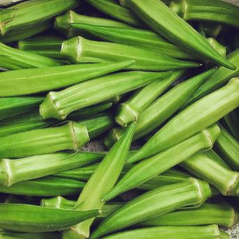香川の伝統野菜『三豊なす』入り！とろける茄子＆オクラのセット 緑角オクラ400g とろーり旨なす1個　三豊なす1個 野菜/野菜セット・詰め合わせ通販