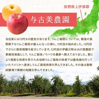 りんご【おぜの紅】訳あり約3kg 2026年度予約受付中 香り豊かな初秋の