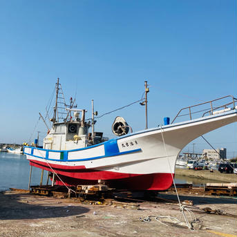 千葉県産　訳あり活伊勢海老　700〜730g×2匹 700〜730g×2匹 魚介類/エビ通販