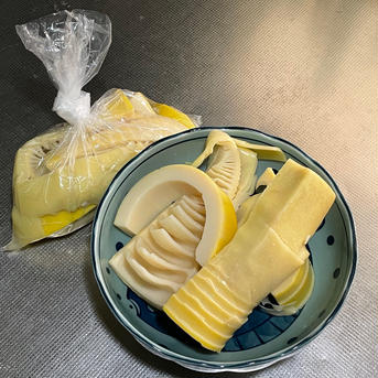 店主お任せ山菜　3,000円分 山菜各種合わせて　2キロ以内 野菜/山菜通販