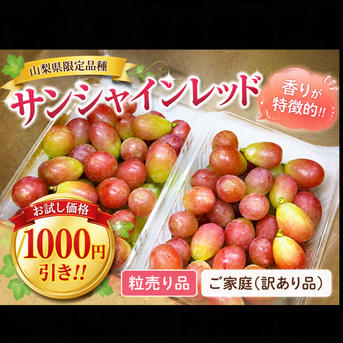 限定価格1000円値引き【サンシャインレッド】山梨県限定 ご家庭用(訳