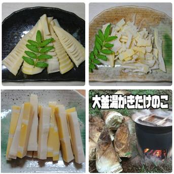 調理の手間なし！湯がきたけのこ3点セット 穂先筍500ｇ、きざみ筍500ｇ、短冊筍500ｇ 野菜/たけのこ通販