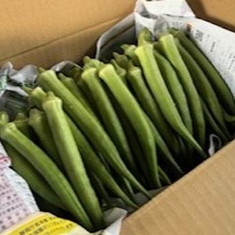 夏野菜の定番おくら詰合せ 1㎏　おくら50～70本前後 野菜/オクラ通販