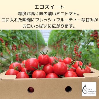 数量限定品】無塩、無糖、保存料無添加 北海道産ミニトマトジュース1L