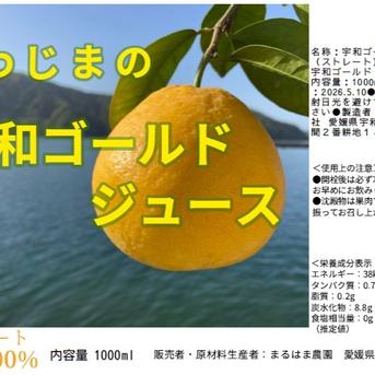 生搾りストレート！糖度11．7 宇和ゴールド（河内晩柑）ジュース