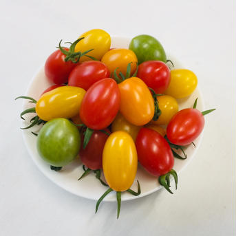 サザキ農園の『プラム型ミニトマト』ミックスセット3kg 3kg 野菜/トマト通販