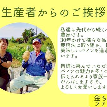 半額】レビュー投稿者様限定『ゴールドバレル』約2.0kg ｜ 果物