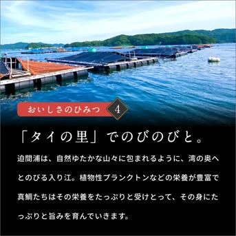 【着日指定◎】お正月に食べたいブランド真鯛！３枚下ろし・皮あり【正月予約】 皮あり　１〜1.2kg(処理前) 魚介類/鯛通販