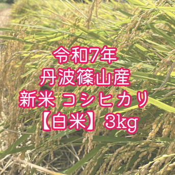 白米】 令和7年丹波篠山産コシヒカリ 3kg ｜ 米・穀物/米/精米 産直 
