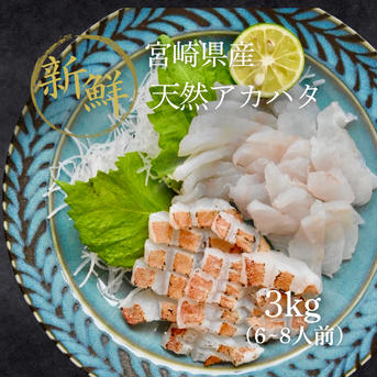 漁師直送！アカハタ　３kg ３㎏　6匹～12匹 魚介類/アカハタ通販