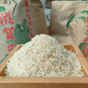 自然農法 滋賀県産コシヒカリ 20キロ 8分つき 山水と豊かな土壌で育て