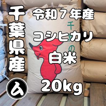令和7年産　千葉県産こしひかり15㎏（白米） 令和7年産 千葉県産こしひかり 5kg | かぜとゆきオンラインショップ