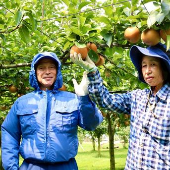 くまさんの輝き10キロ【5キロ✕2袋】 | 米・穀物/米/精米 産直