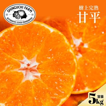 訳ありだけど美味しさそのまま】甘平 5kg 愛媛県産 ｜ 果物/オレンジ