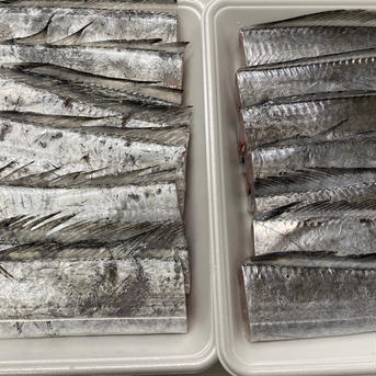 焼き物、煮付けに大活躍！太刀魚15切 15切 魚介類/その他魚介通販