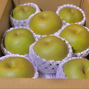 【贈答用】長野県産 幸水梨 3kg（6〜9玉） 3kg 果物/梨通販