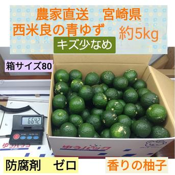 宮崎県　西米良の青ゆず　キズ少なめ　約5kg 5kg 果物/香酸柑橘(ライム・レモン等)通販