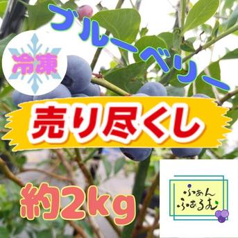 30％OFF】令和7年度産冷凍ブルーベリー品種MIX 2kg ｜ 果物/ベリー類