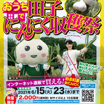 【数量限定】青森県田子町産生にんにく Mサイズ以上・10玉程度 野菜/にんにく通販