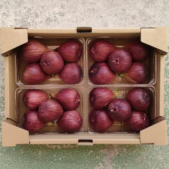 【まとめ買い】淡路島産 無花果8パック(約3.2kg) いちじくイチジク 約3.2kg 果物/いちじく通販