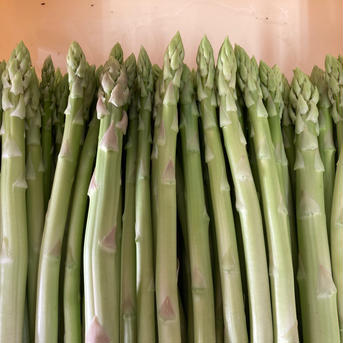 【正規品】朝採り博多アスパラガス　1kg 1kg 野菜/アスパラガス通販