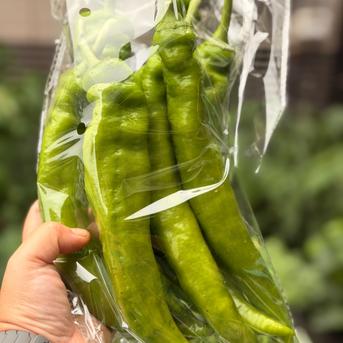 野菜セット新登場【Mセット 8~9品】至高のプレミアム 畑の鼓動を丸ごと