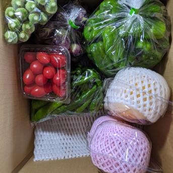 アイコ、アマトウガラシ、オクラ、丸ナス、ピーマン、桃、ブドウ 約5.9kg 野菜/野菜セット・詰め合わせ通販