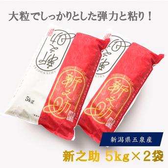 令和7年産 新之助 精米5kg×2袋 ｜ 米・穀物/米/精米 産直アウル