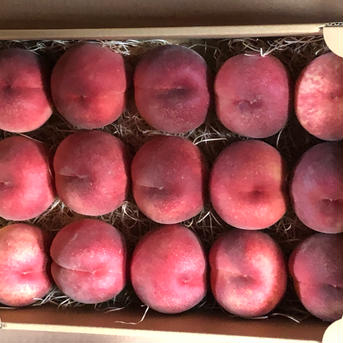 もぎたて桃★長野県産 川中島白鳳★良品❣️農家直送❣️ 桃6~8個 果物/もも通販